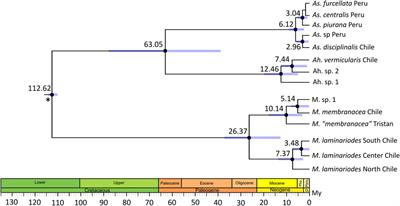 Impact of persistent barrier to gene flow and catastrophic events on red algae evolutionary history along the Chilean coast